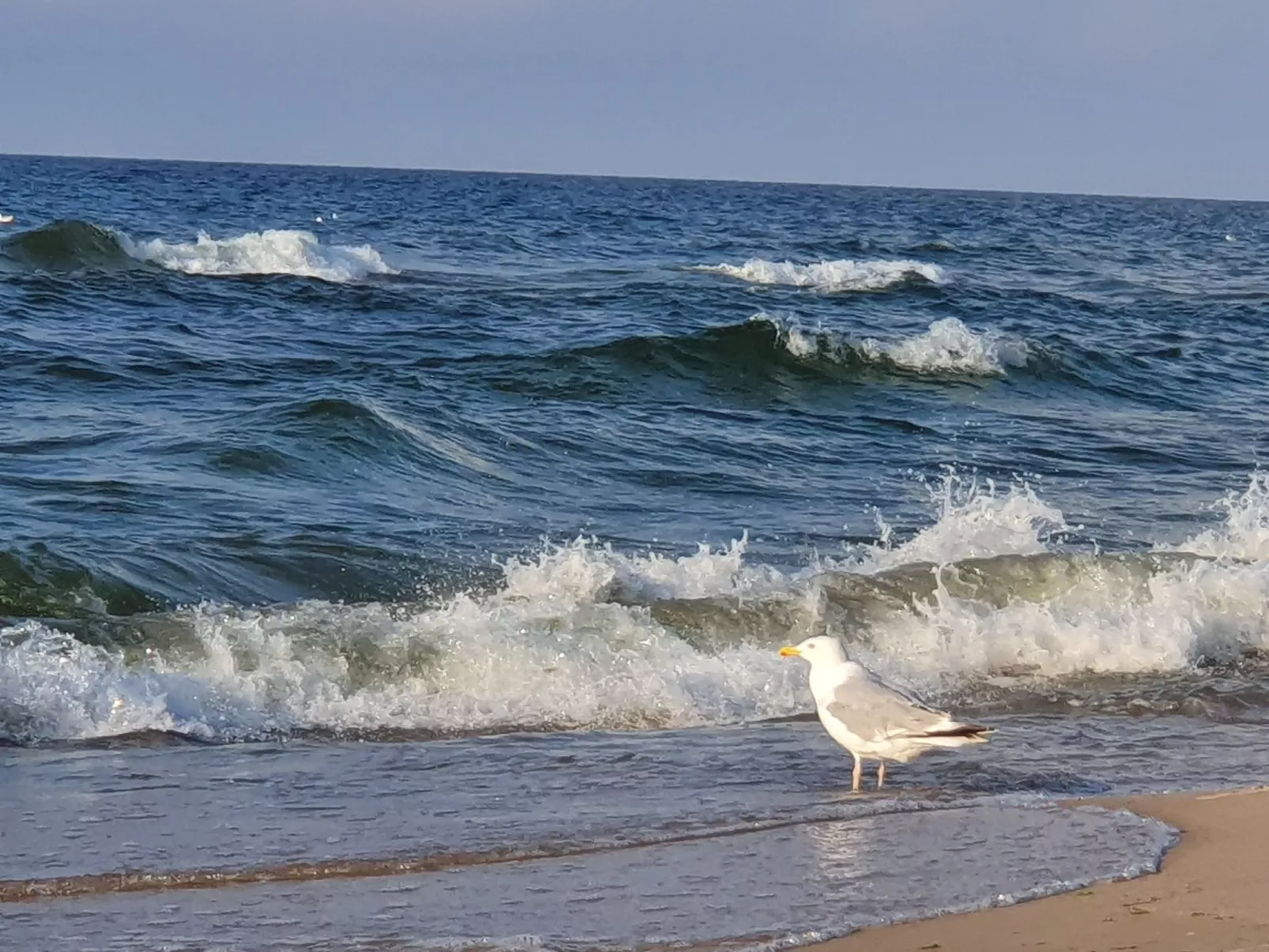"Ferienwohnung" mitten im Grünen - Draußen
