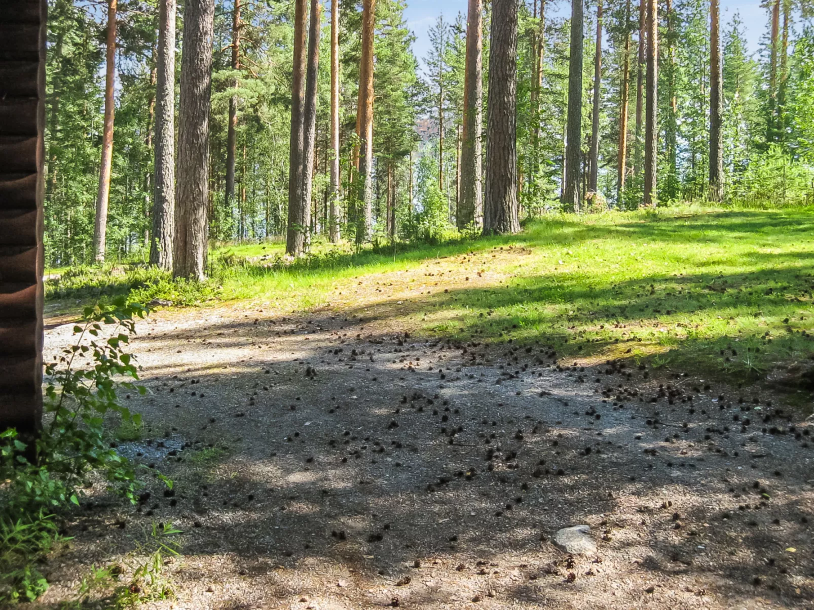 Honkakoli 9/2 - Inside