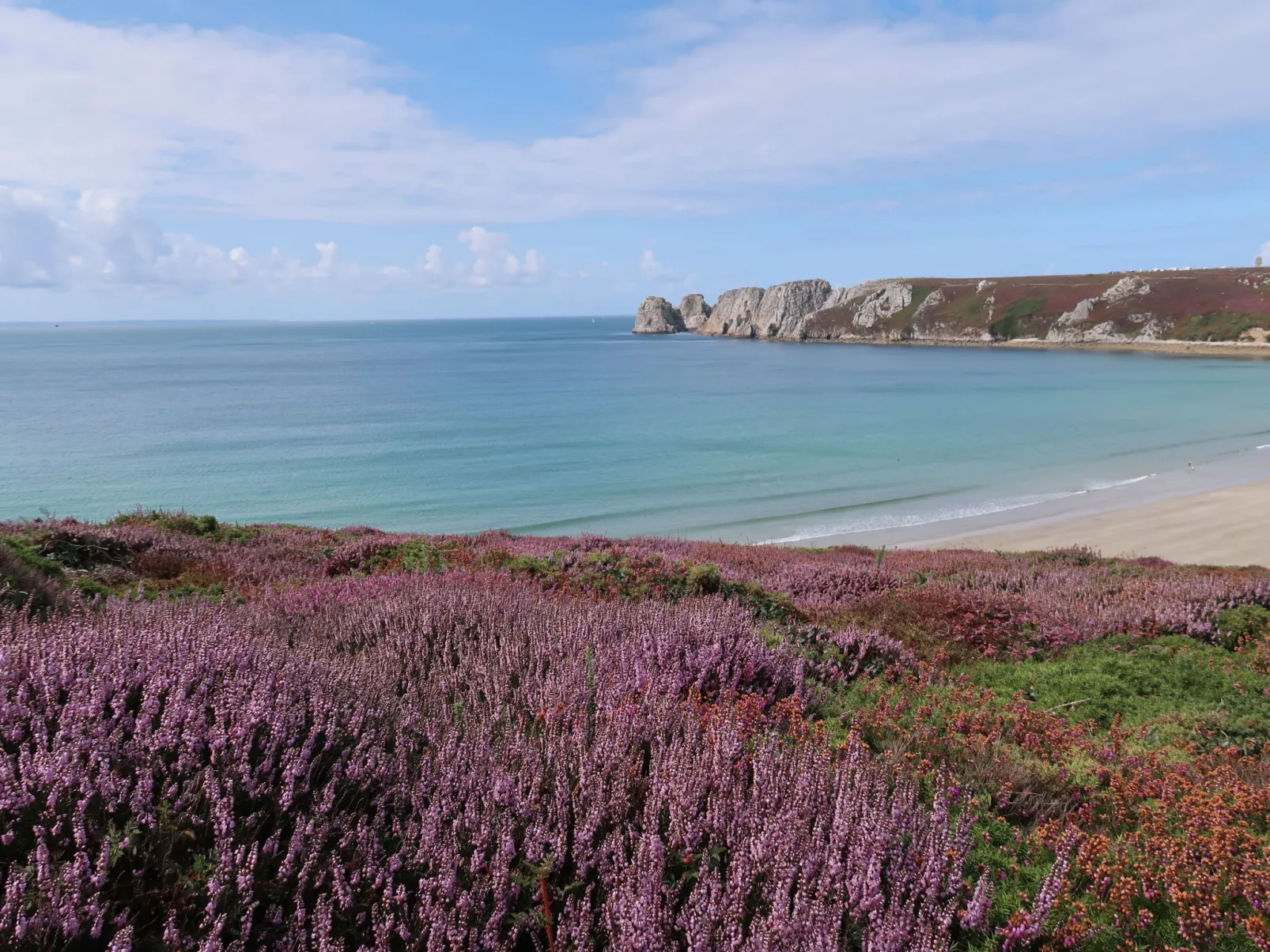 "Les Hortensias" (Die Hortensien) - Umgebung