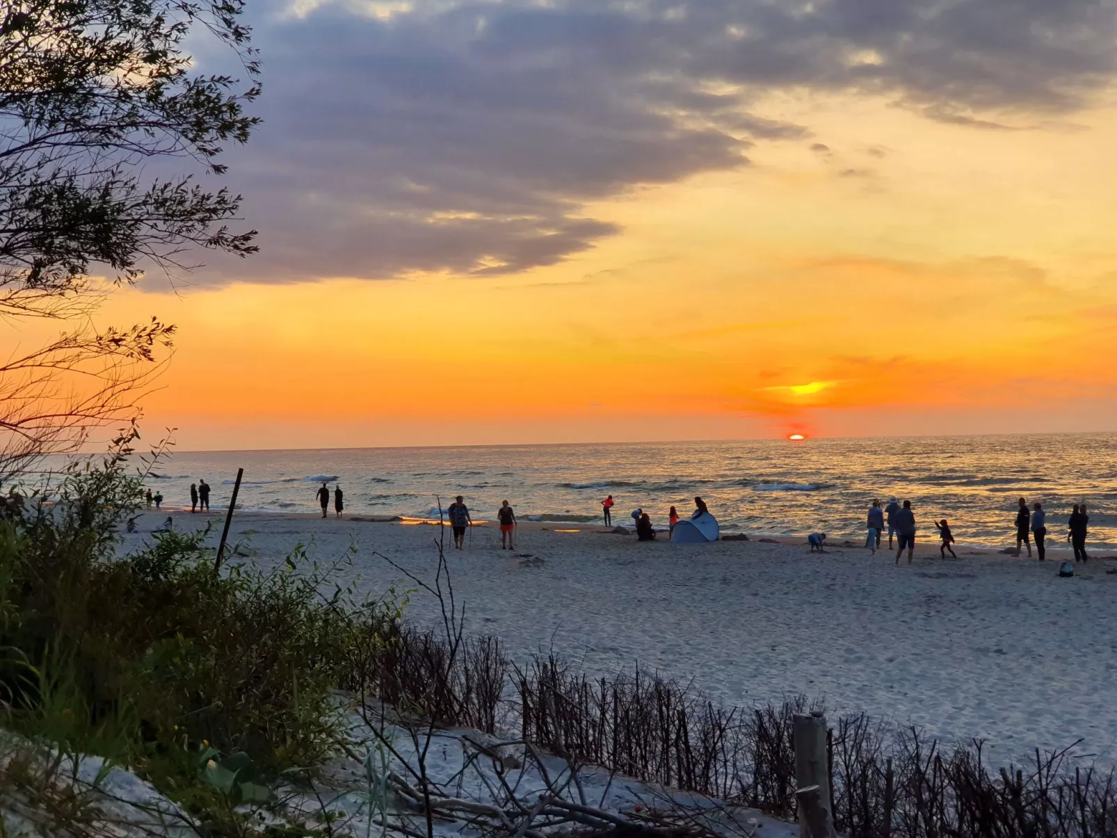 "Ferienwohnung" mitten im Grünen - Draußen