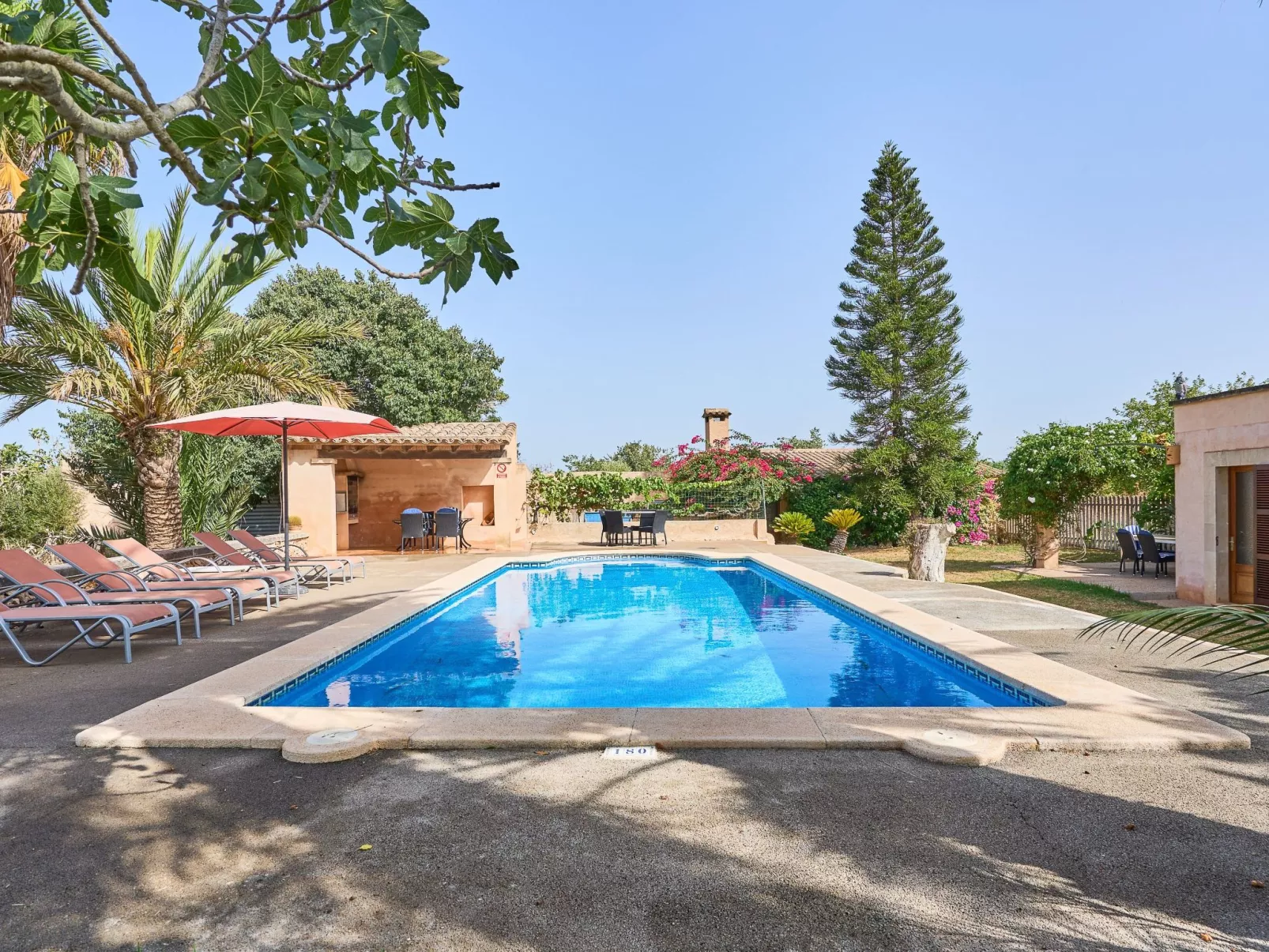 Moli den Cavea - Image-tags.info