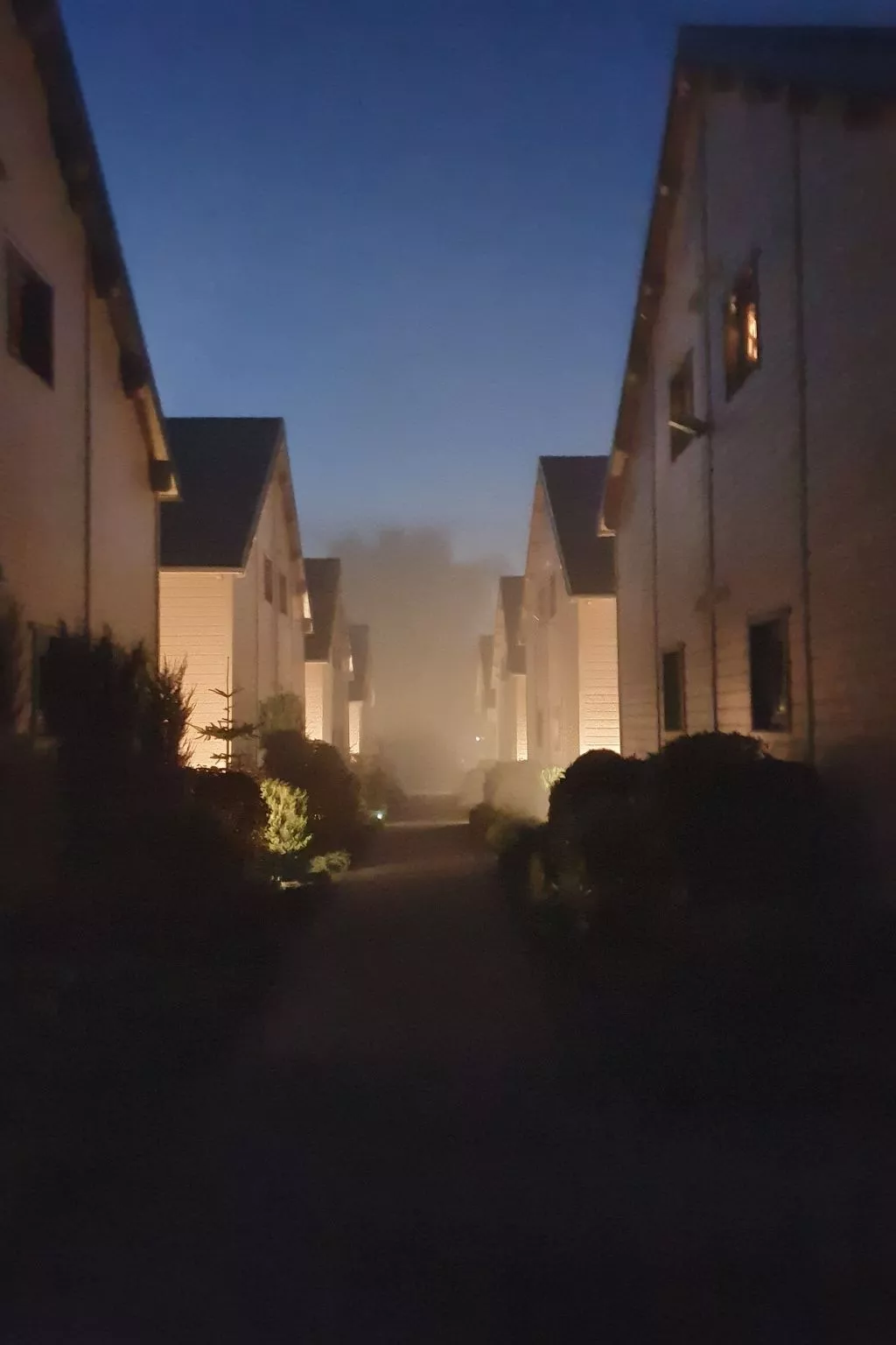 "Ferienwohnung" mitten im Grünen - Draußen