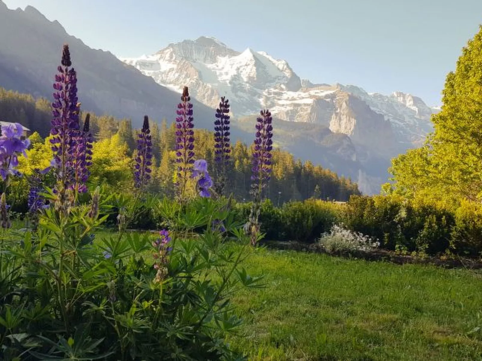 Chalet Ledibach - Dehors