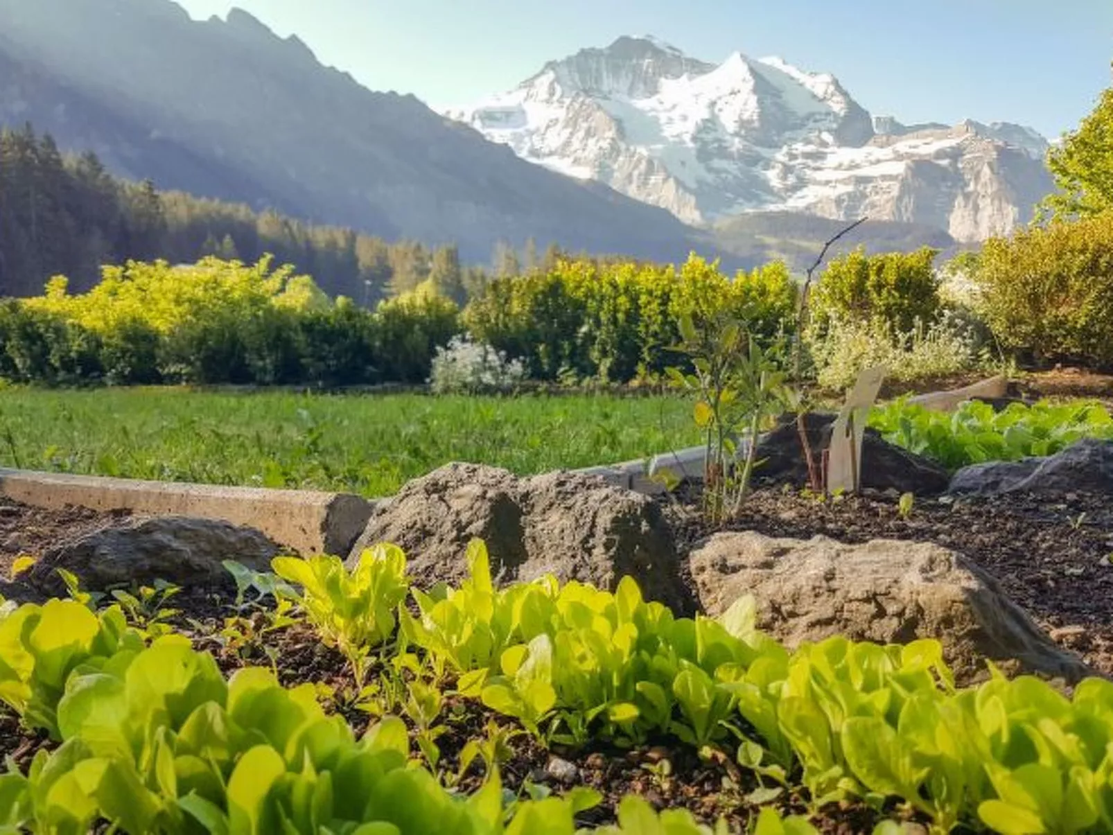 Chalet Ledibach - Dehors
