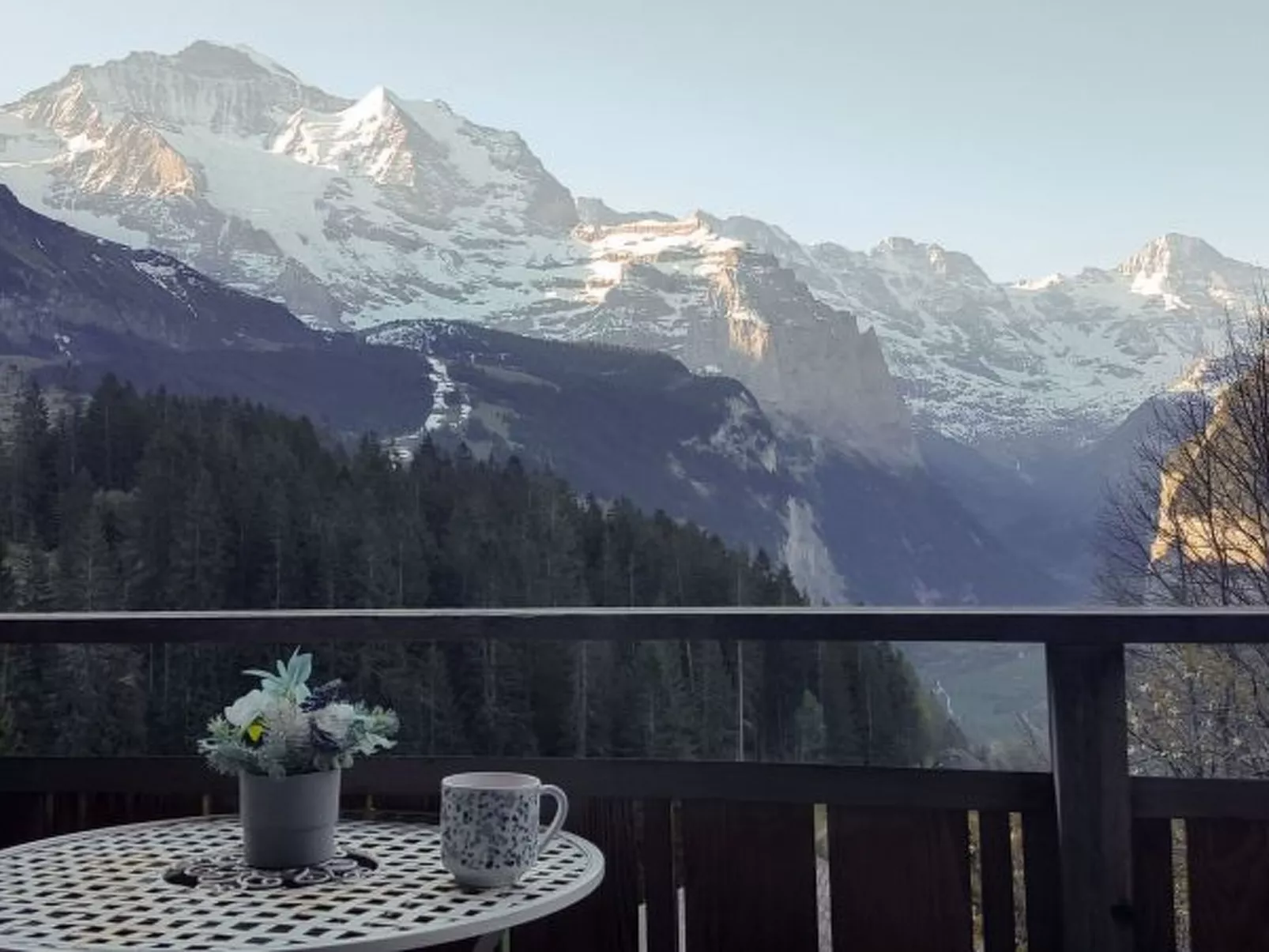 Chalet Ledibach - Dehors