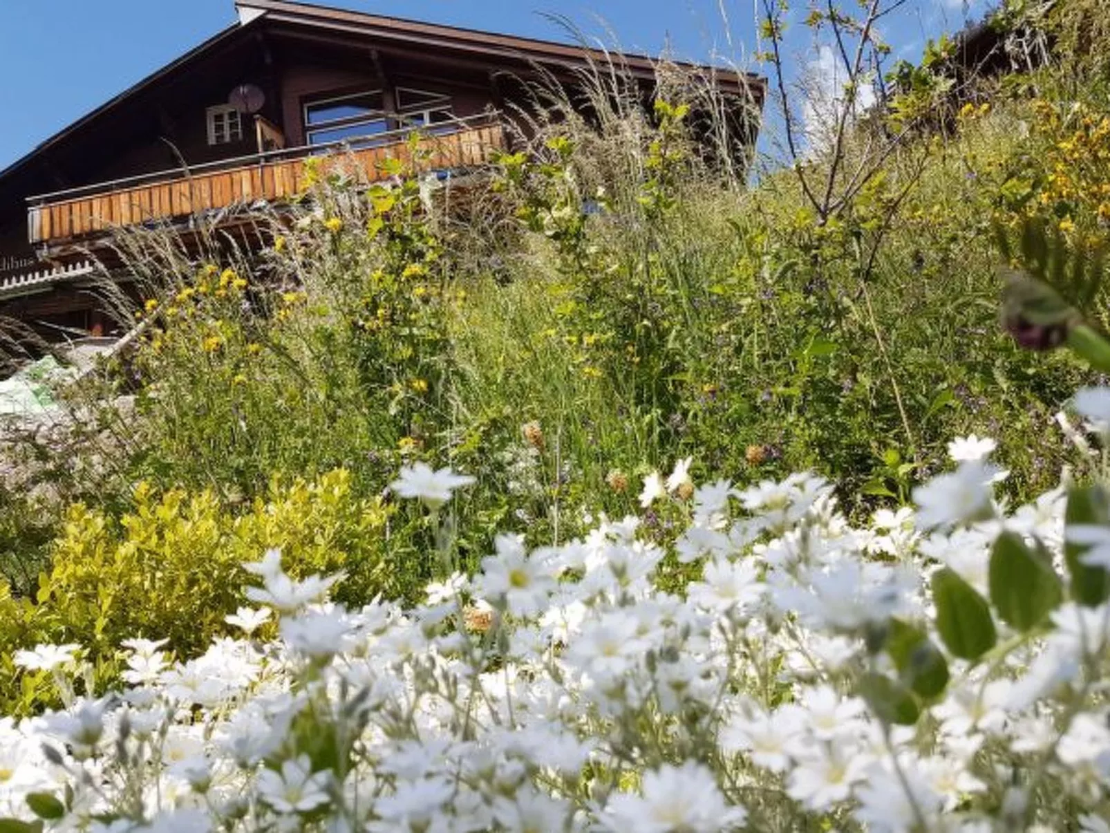 Chalet Ledibach - Dehors