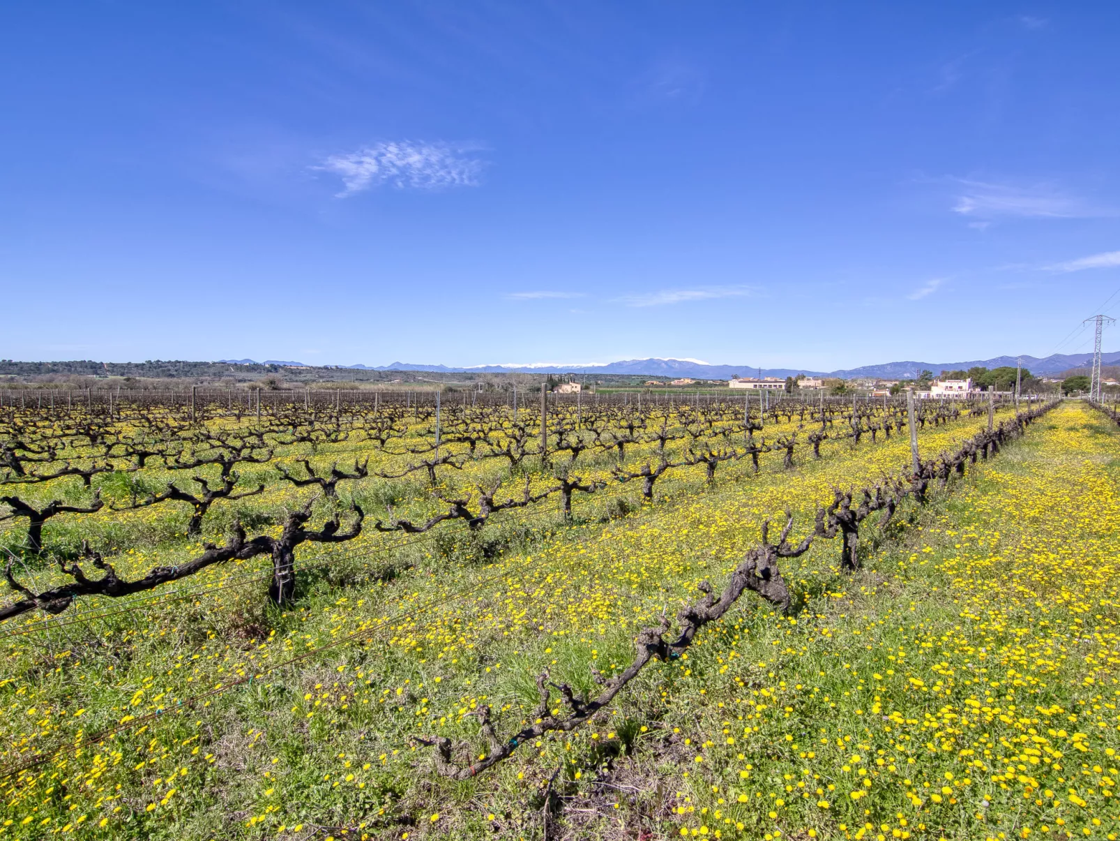 Ca l'Andreu - Umgebung