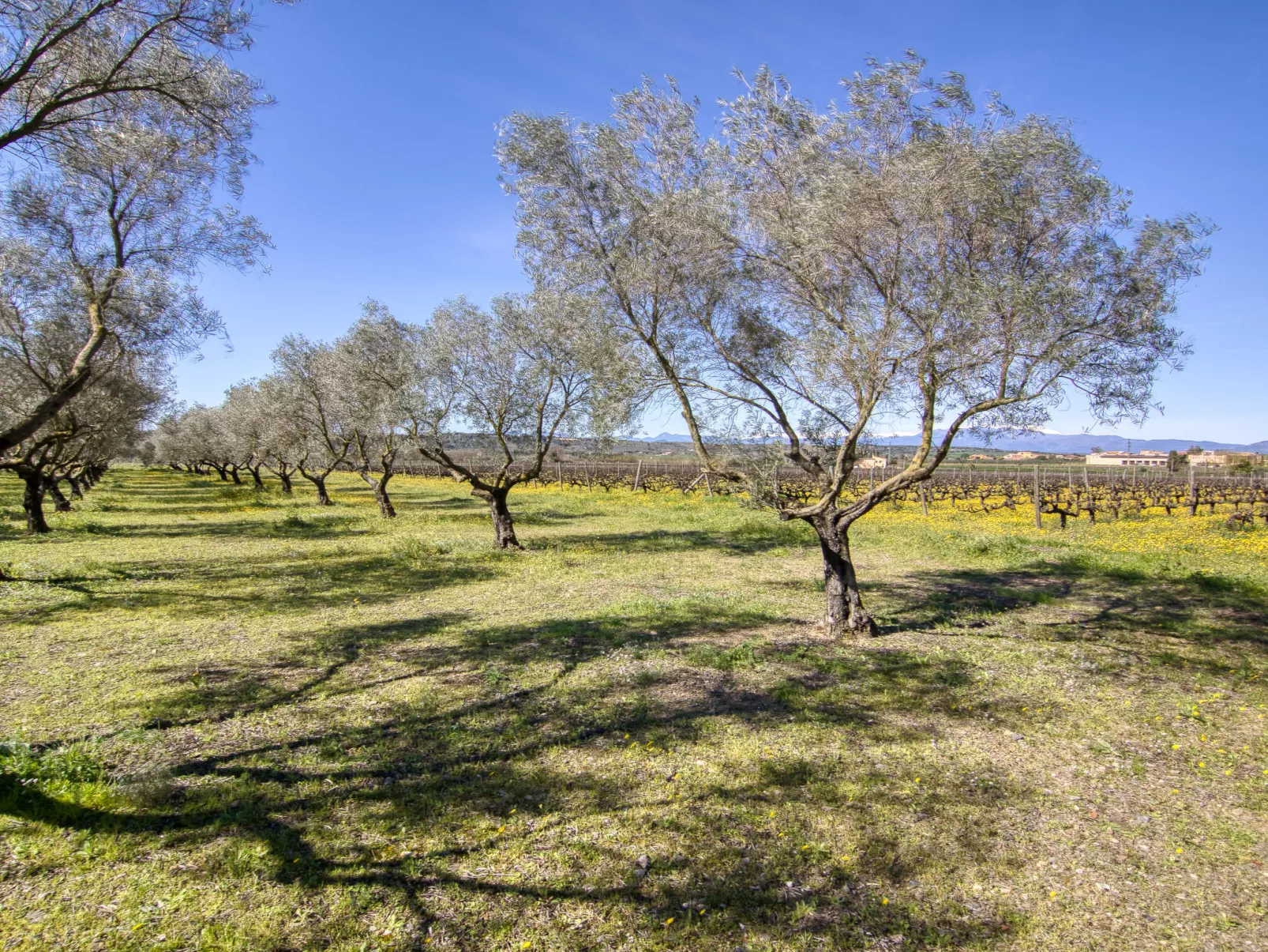 Ca l'Andreu - Umgebung