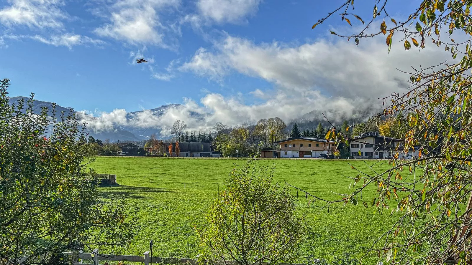 Panoramahaus Itter-View summer