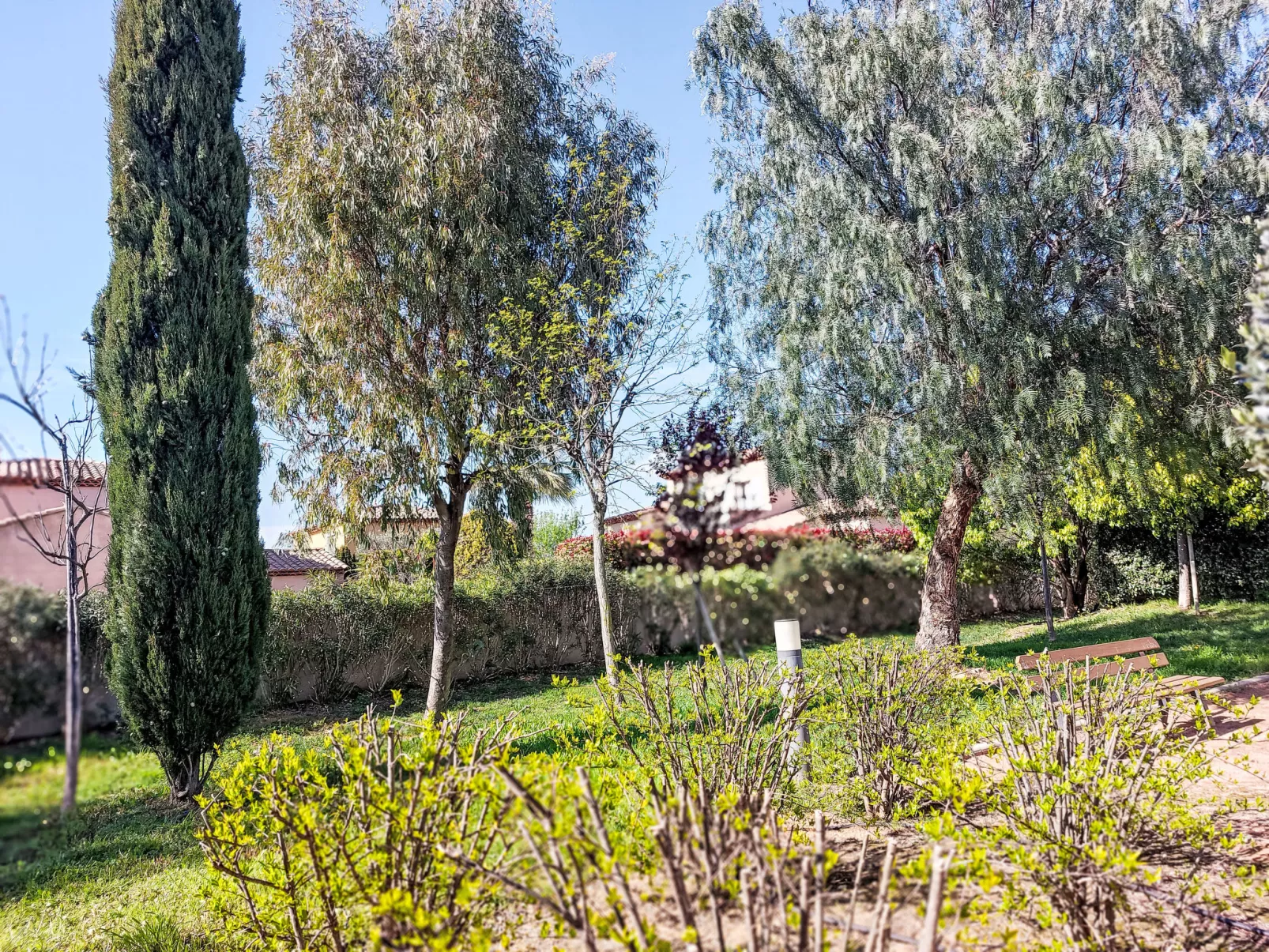Lyloa - Dehors