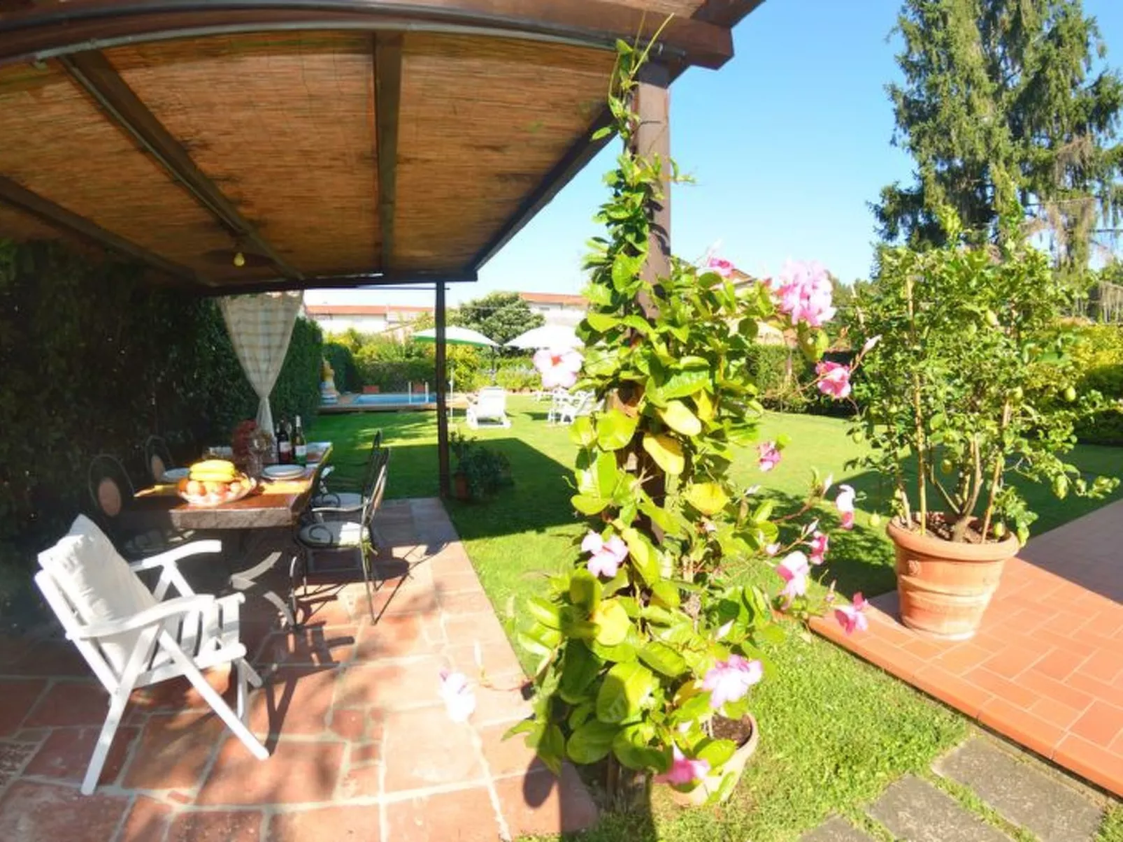 La Capannella Del Cinema