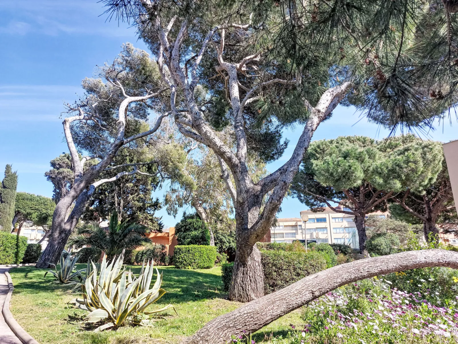 Les Marines d'Aryana - Draußen