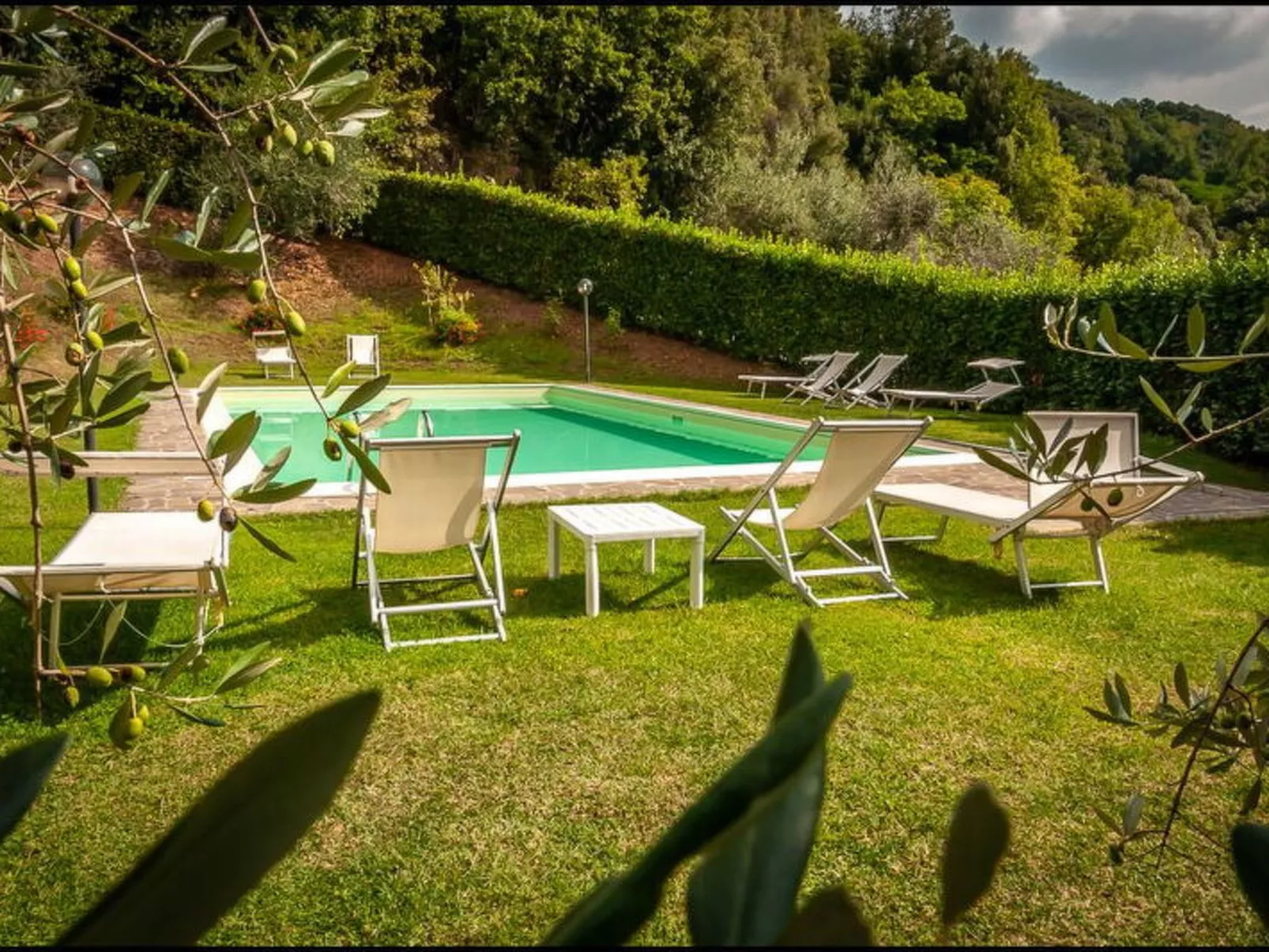 Orto Degli Olivi Proprietà