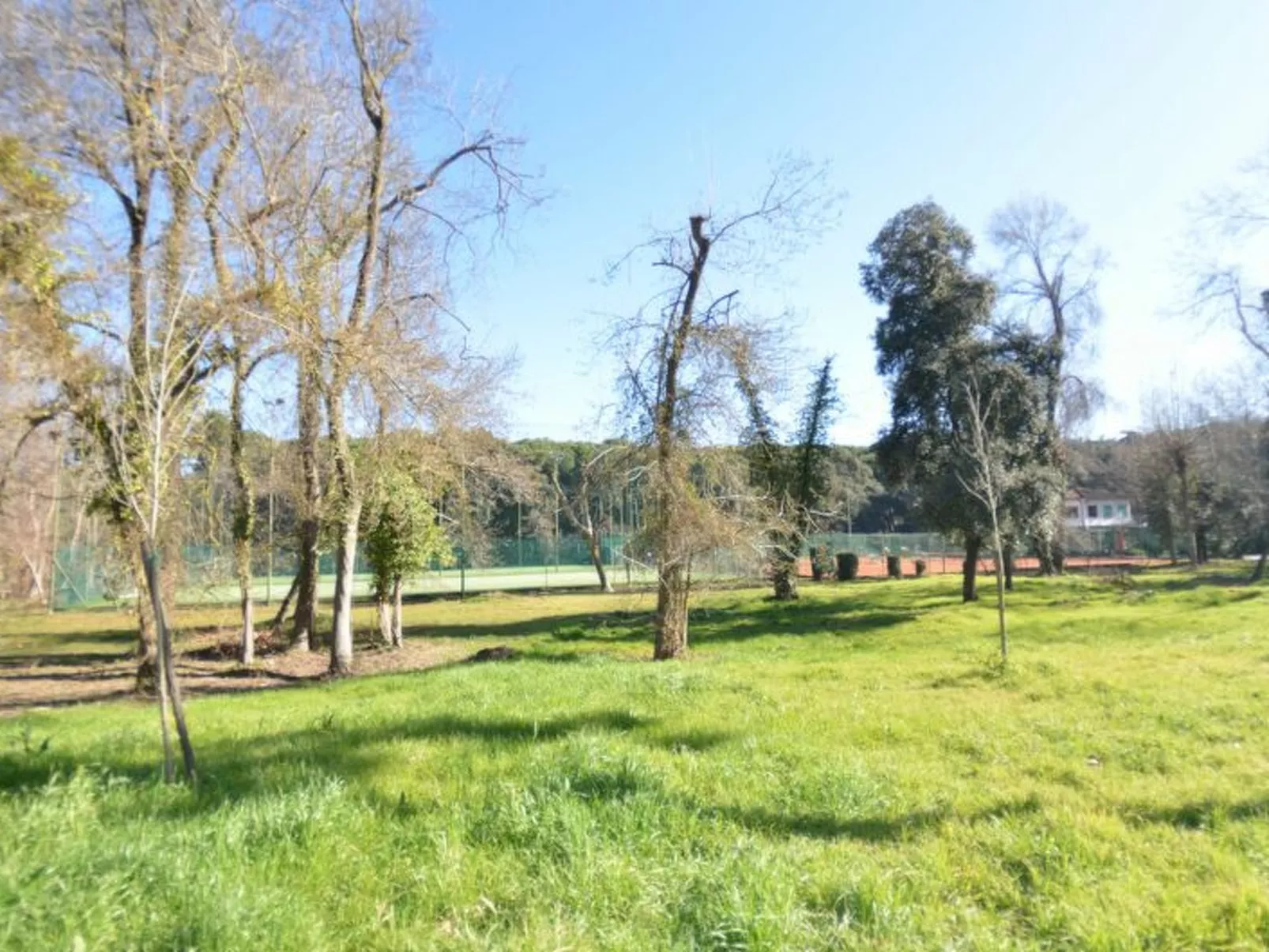 Carnevale - Draußen