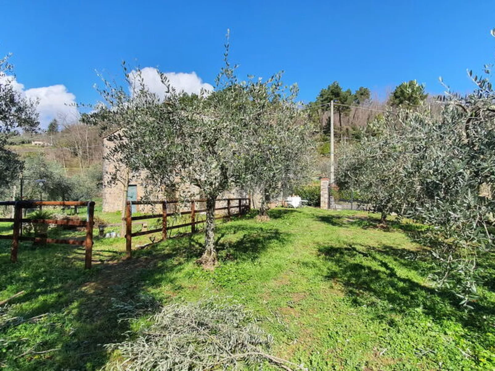 Il Cantuccio Proprietà - Dehors