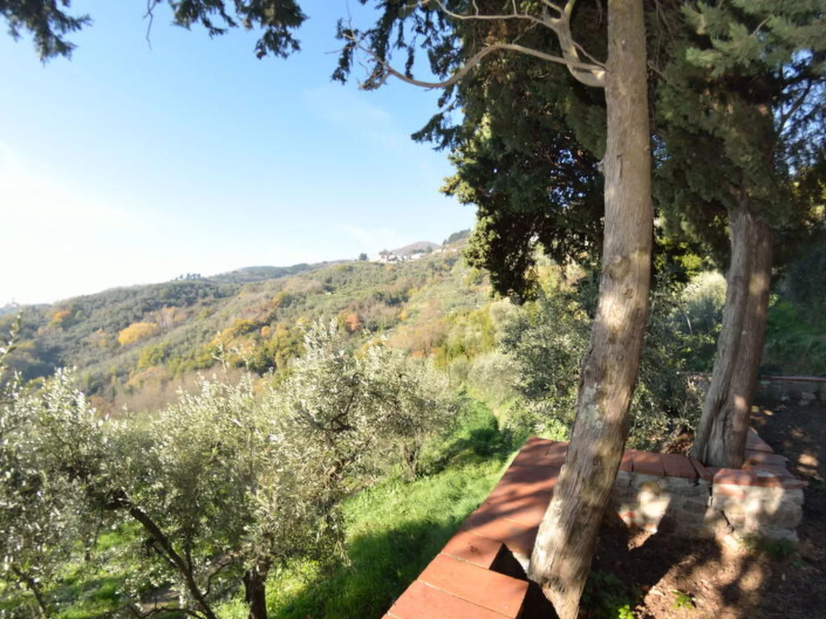 La Cipressa - Outside