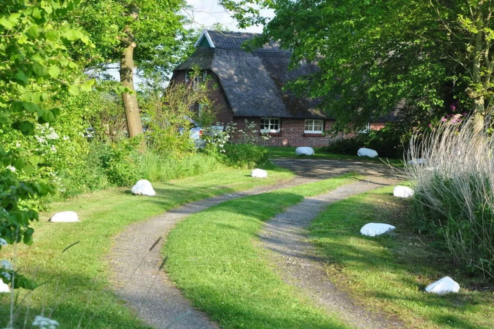 117658 - Außenbereich Sommer