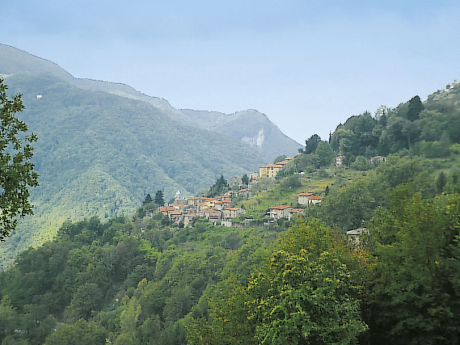 Emilia - Environnement