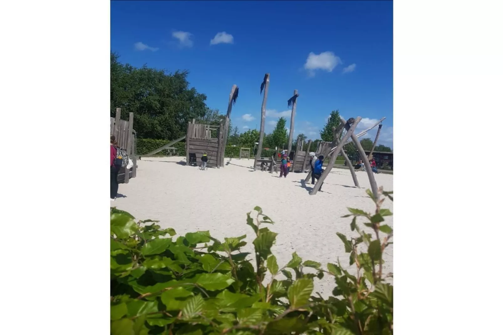 456395 - Gardens in summer
