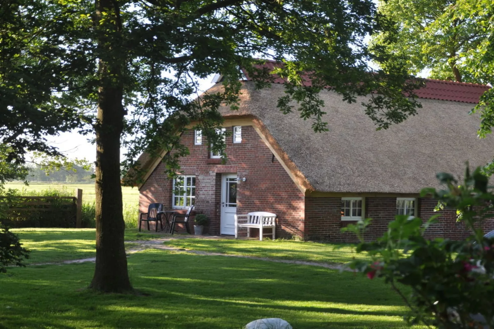 117658 - Außenbereich Sommer
