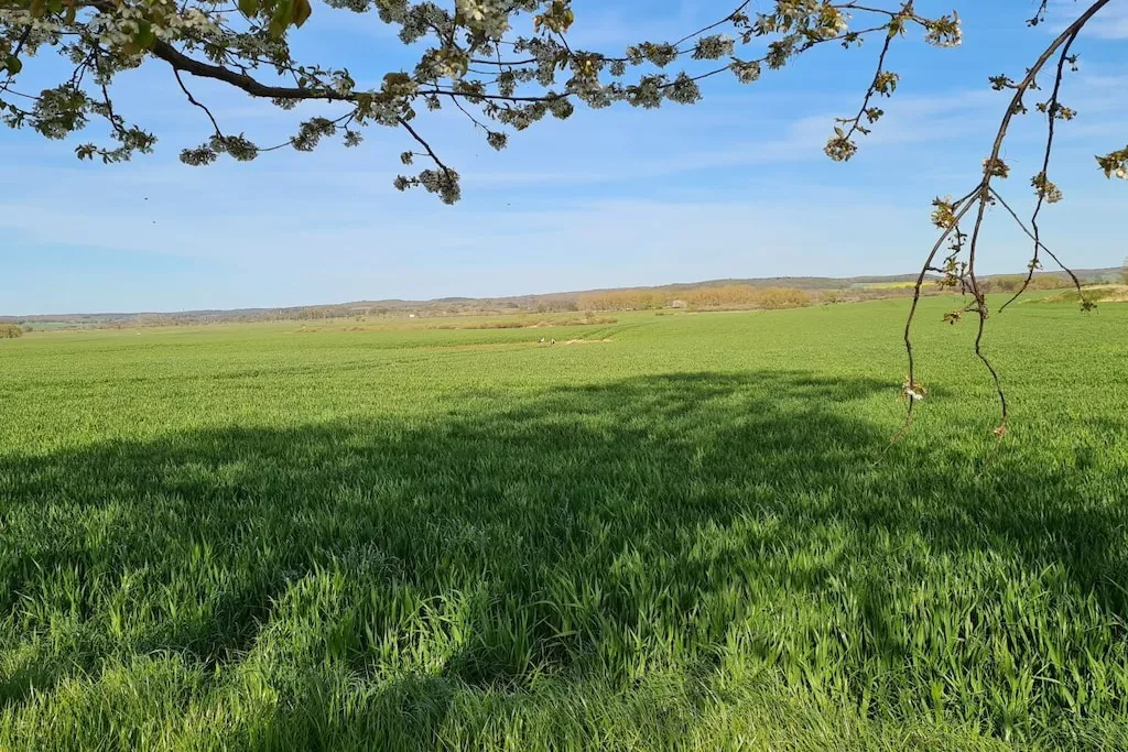 354643 - Nicht zugeordnet