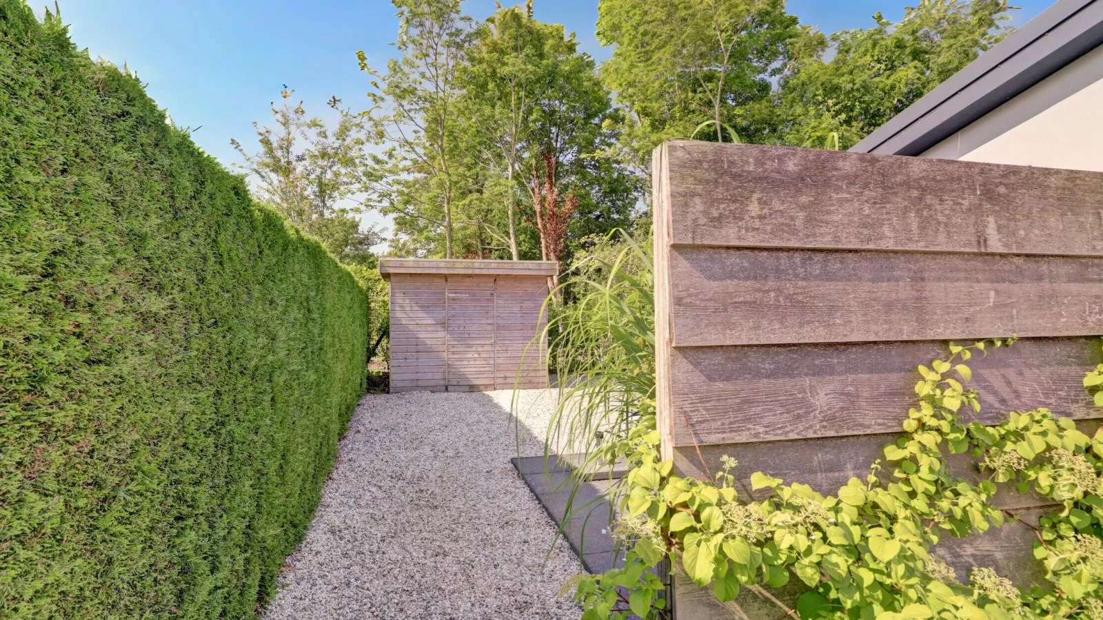 Duin Rust sijsjeslaan 3 - Gardens in summer