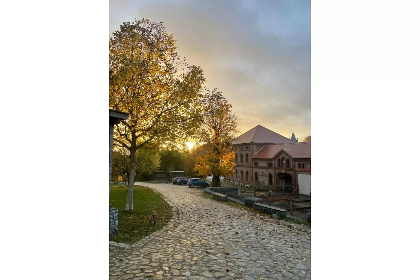 221 - View in summer