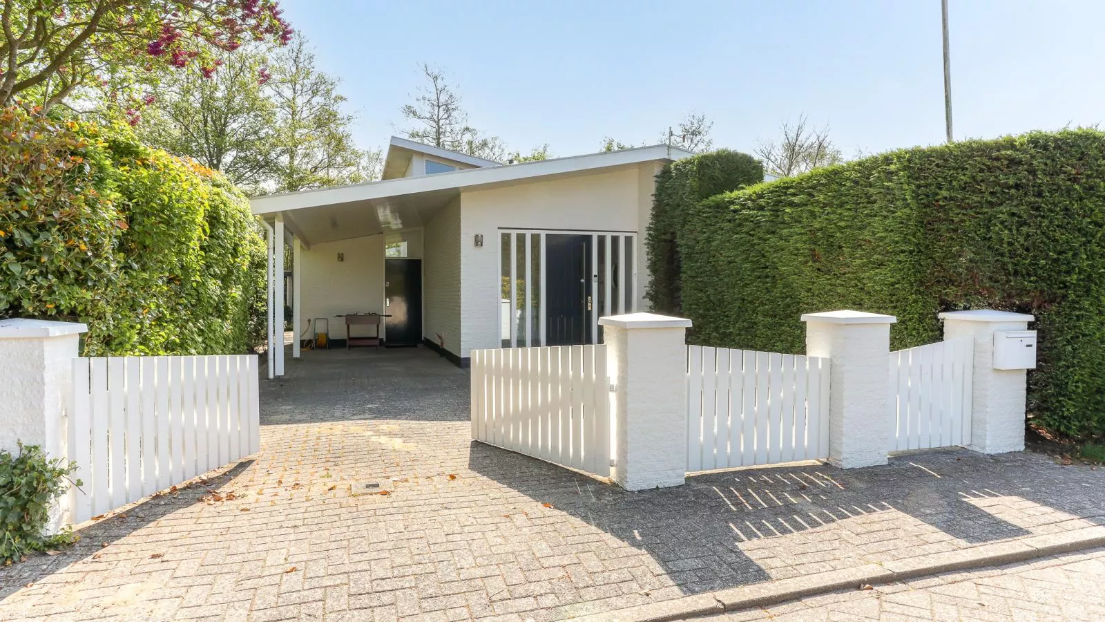 Zilte Iep - Exterior in summer