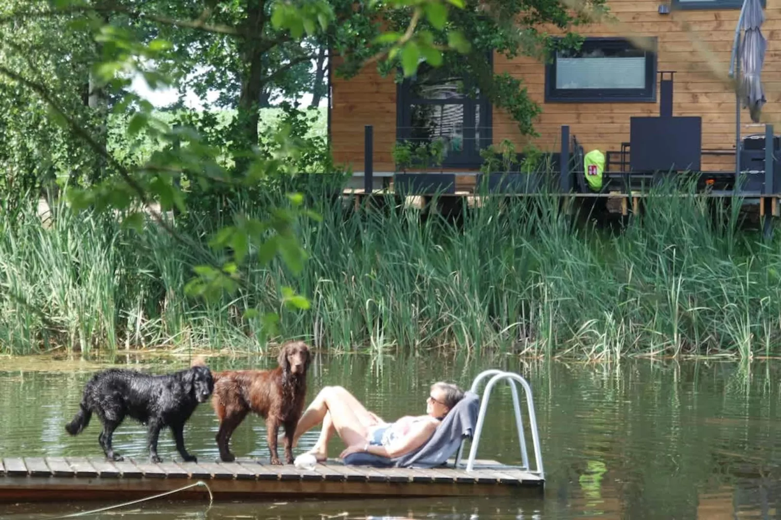 TH1 4P+20€(5) Immer - View in summer