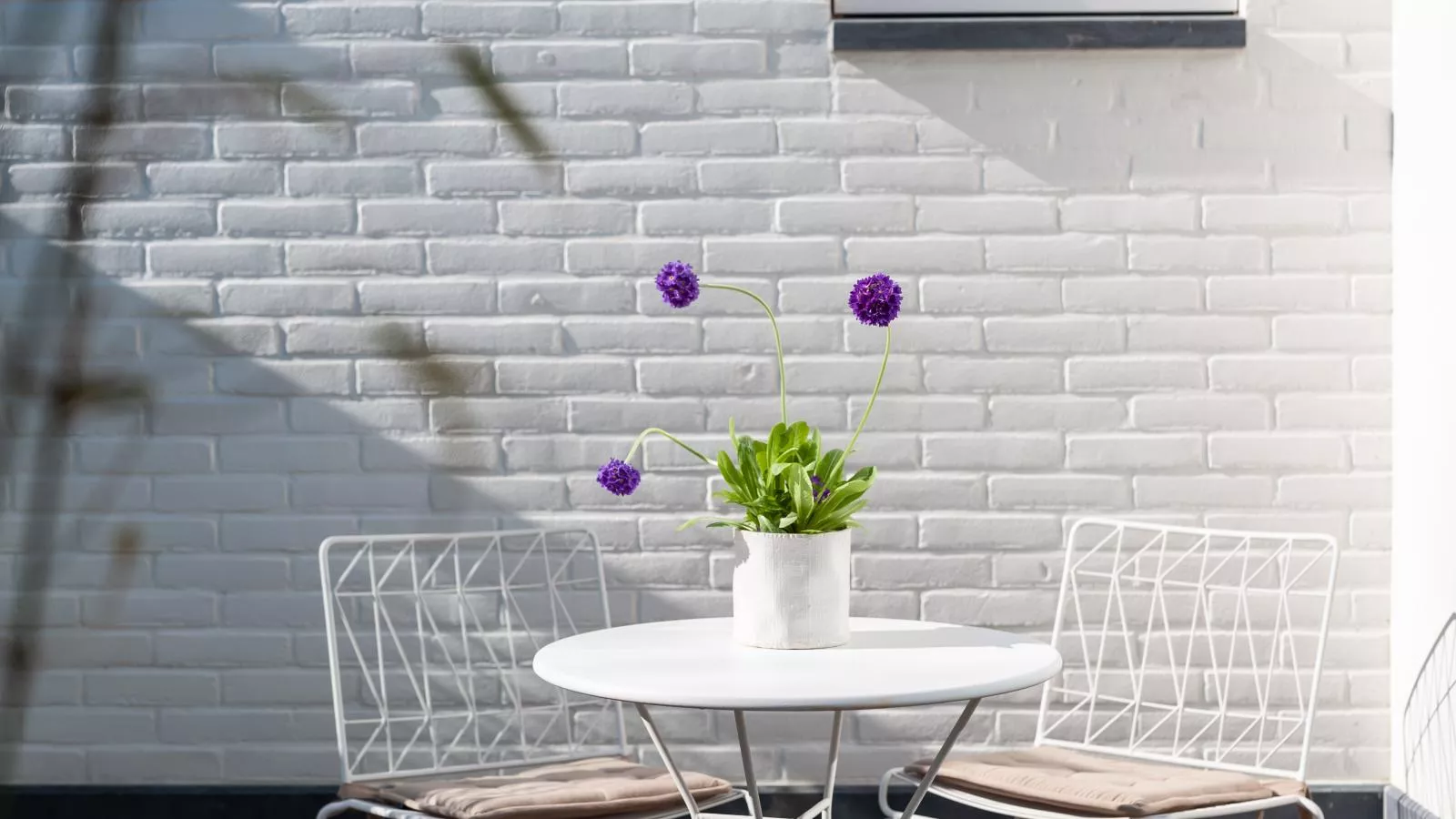 Zilte Suite - Jardins en été