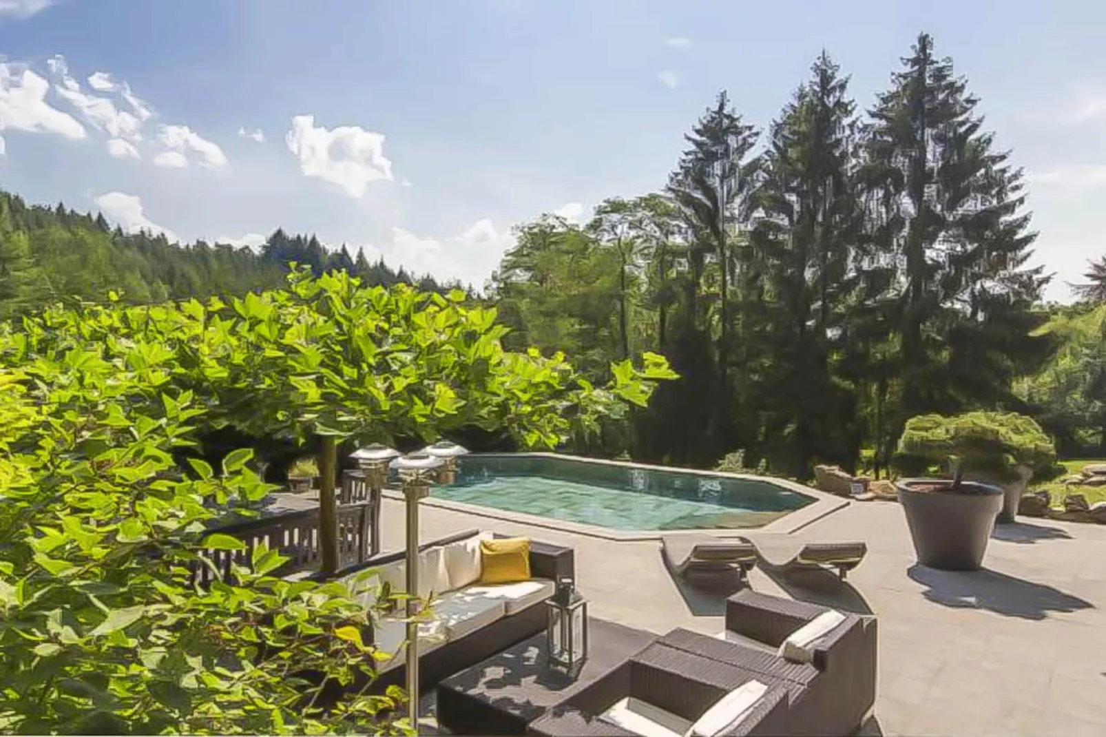 Landhuis la Forêt - Swimming pool