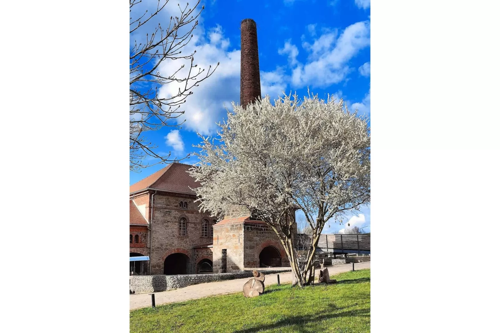 TH3 1P 40€(5) Schulz - Vue d'été