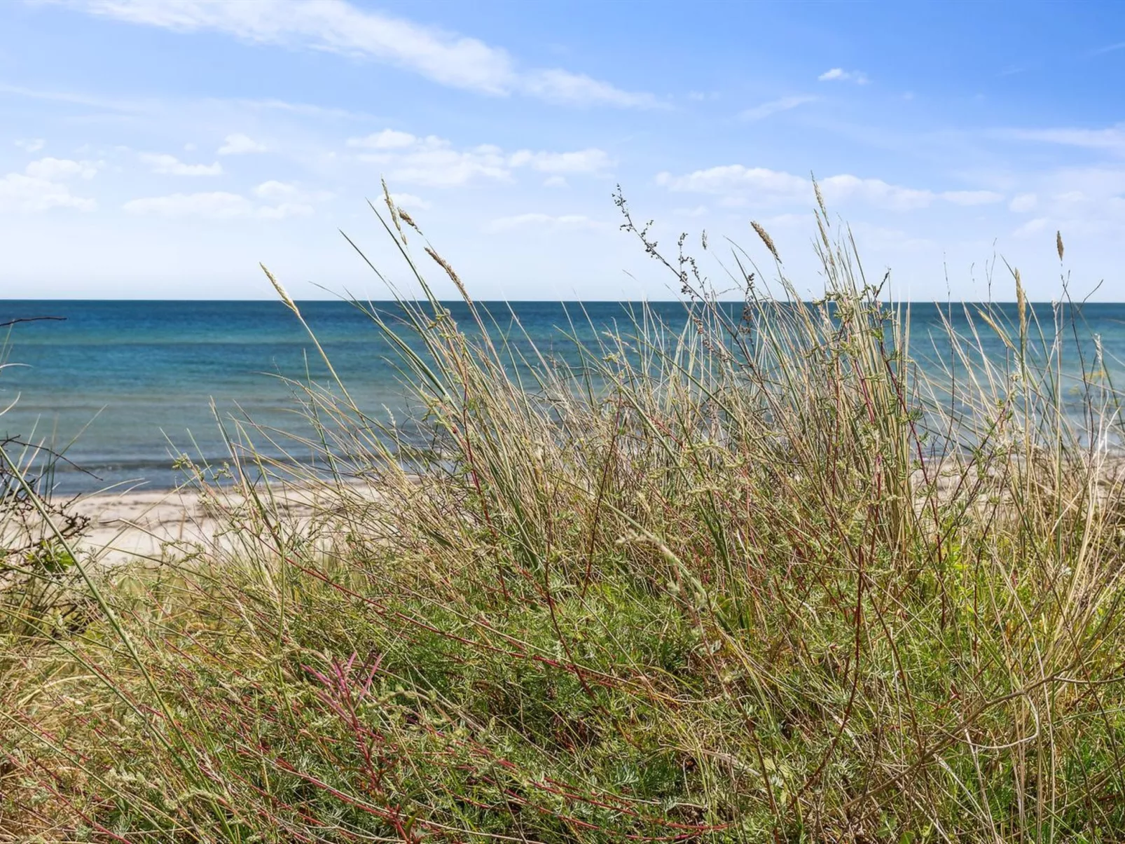 "Margit" - 10m from the sea - Draußen