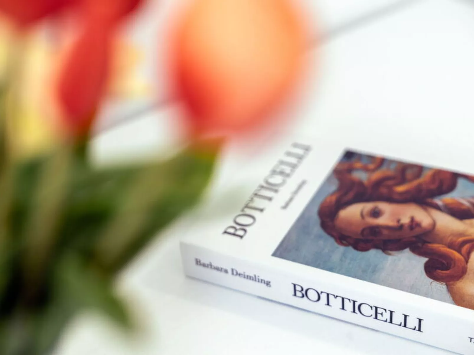 Perla Costa Conero - Draußen