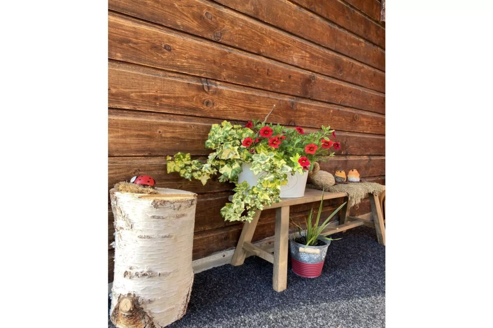 311181 - Garten Sommer