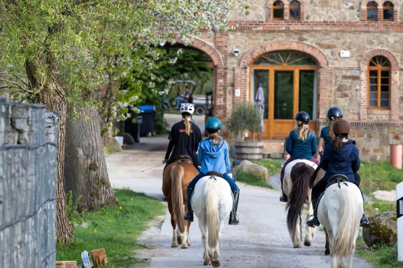 TH2 - Gebiete Sommer 1 km