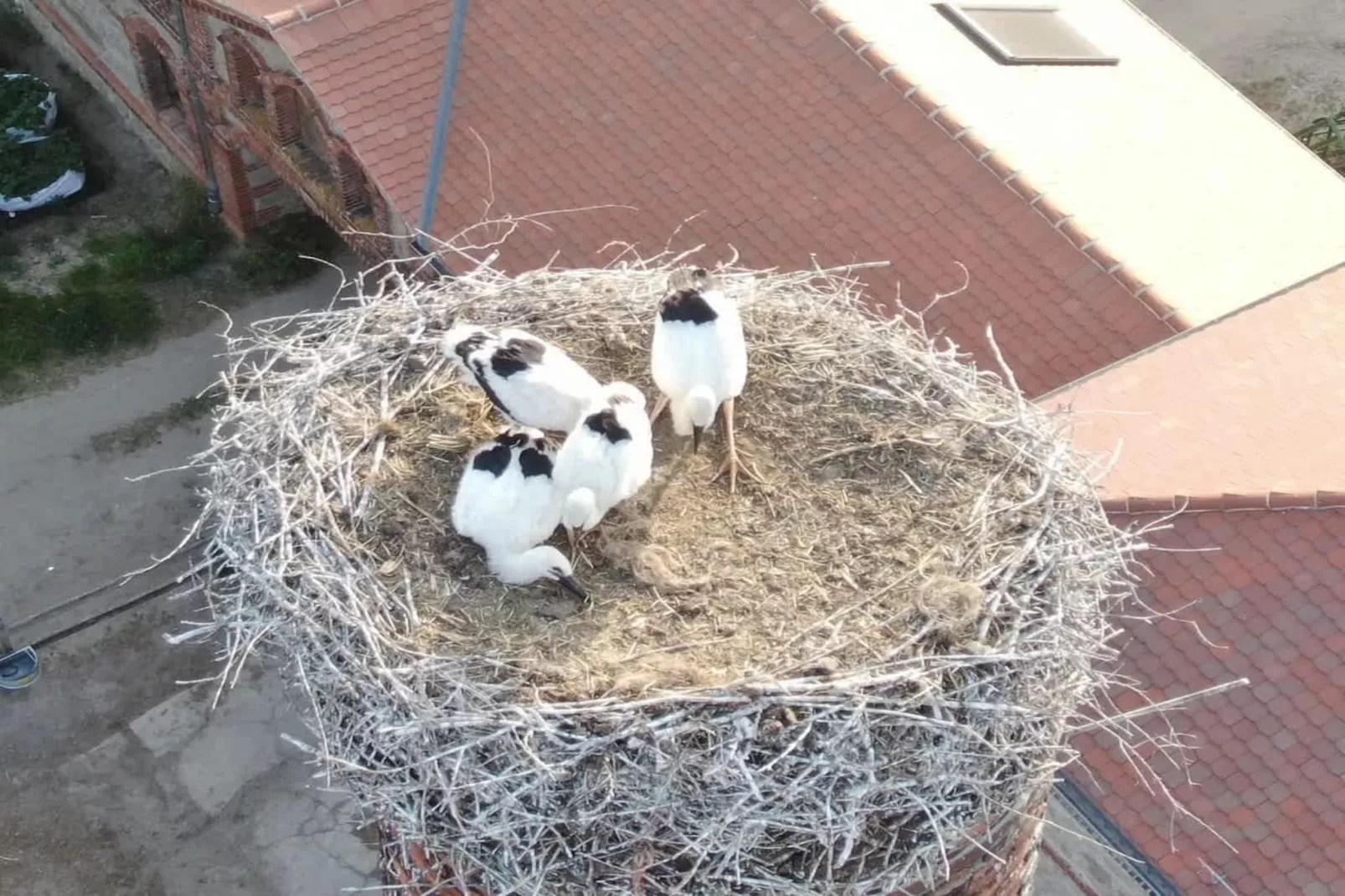 221 - Areas within 1km in summer