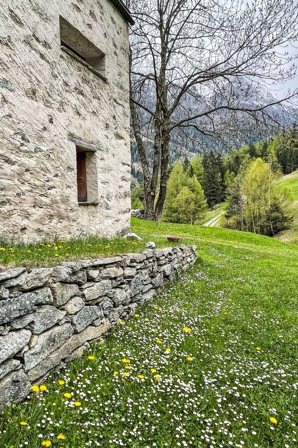 Maiensäss La Scera - Outside