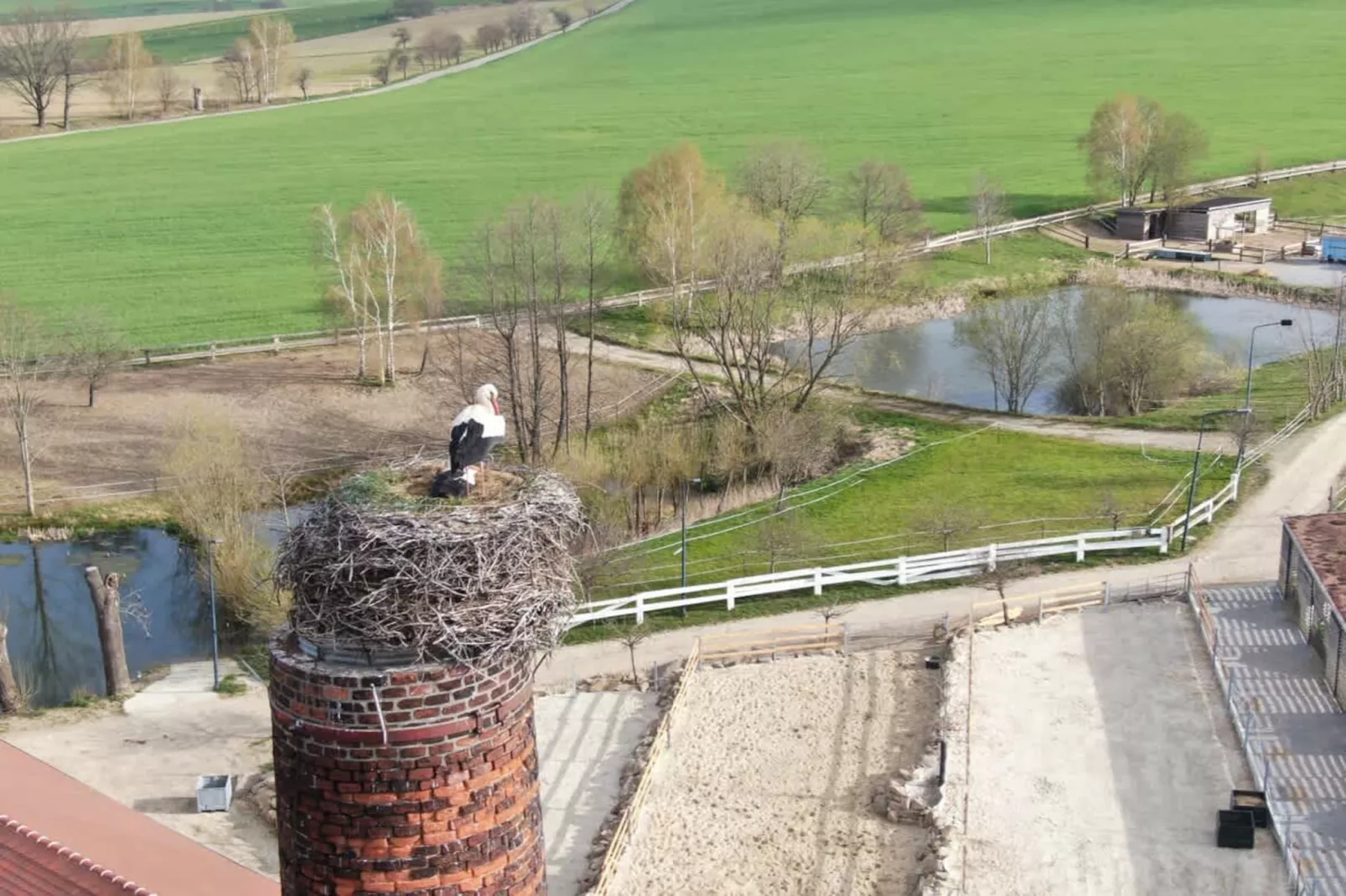 TH2 - Gebiete Sommer 1 km