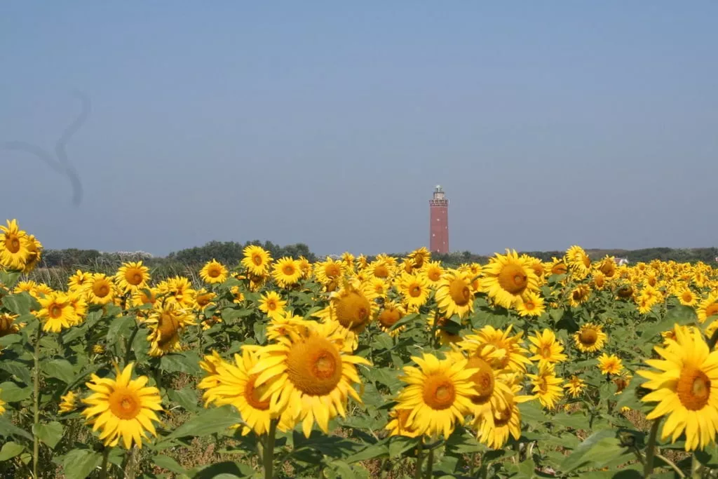 261097 - Gebiete Sommer 5 km