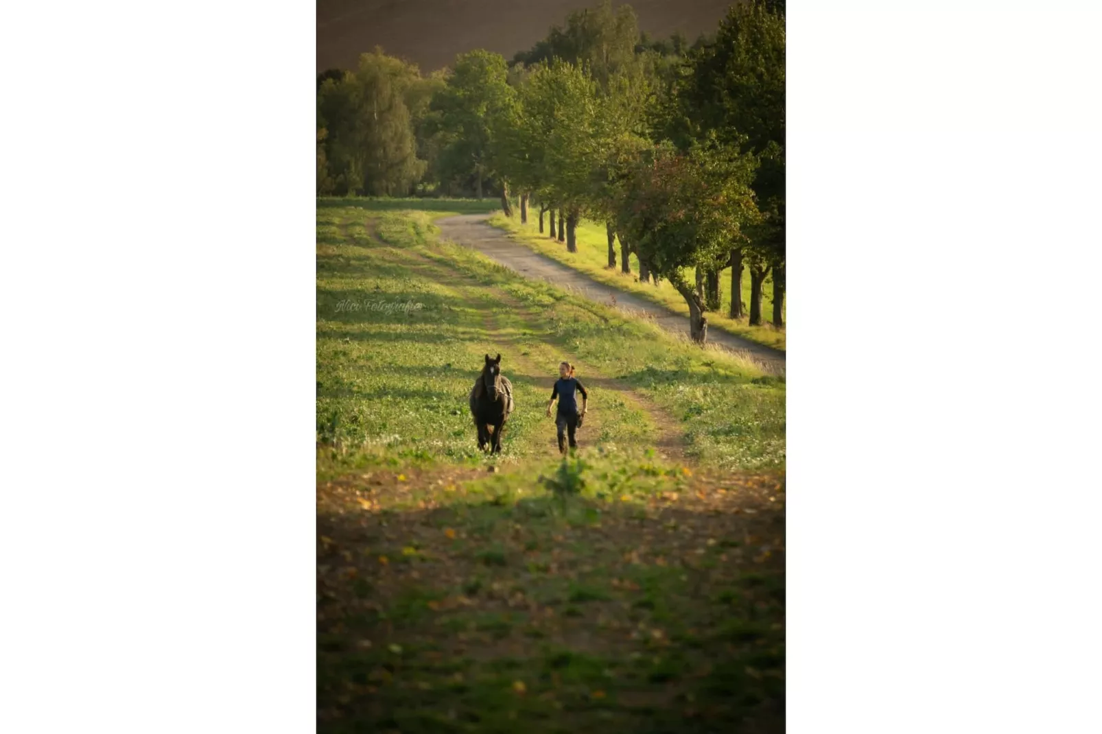 TH2 - Gebiete Sommer 5 km