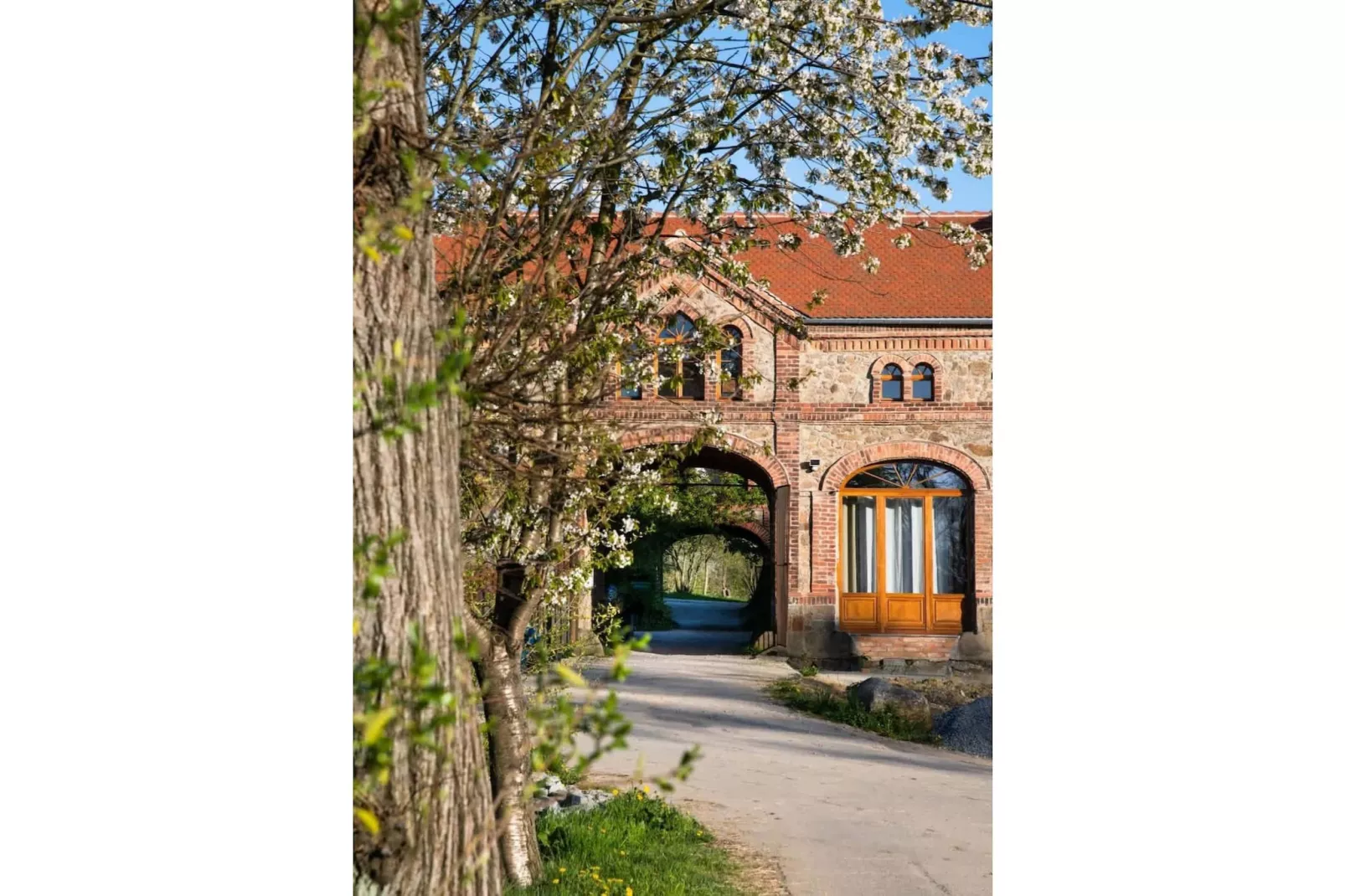 521 1P 40€(6) Schulz - Exterior in summer