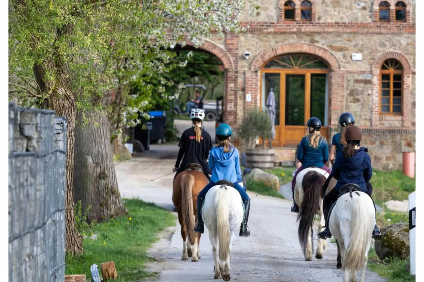 TH1 4P+20€(5) Immer - Areas within 1km in summer