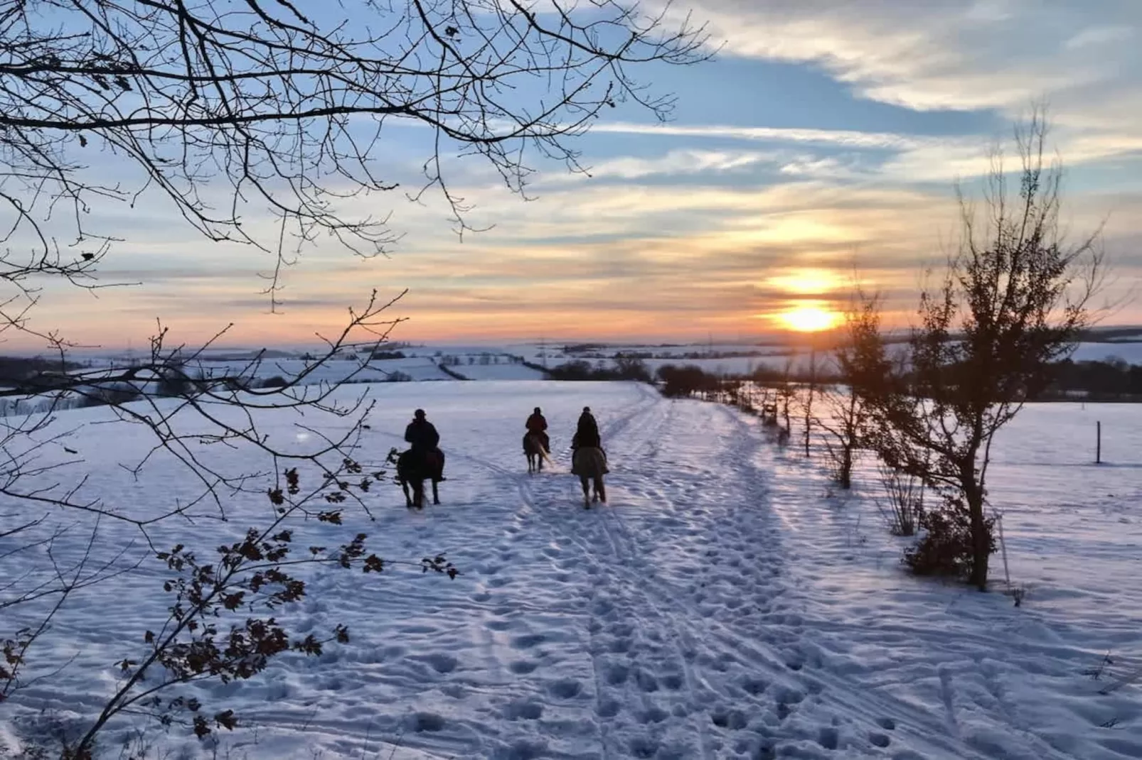 611 - Area within 1km in winter