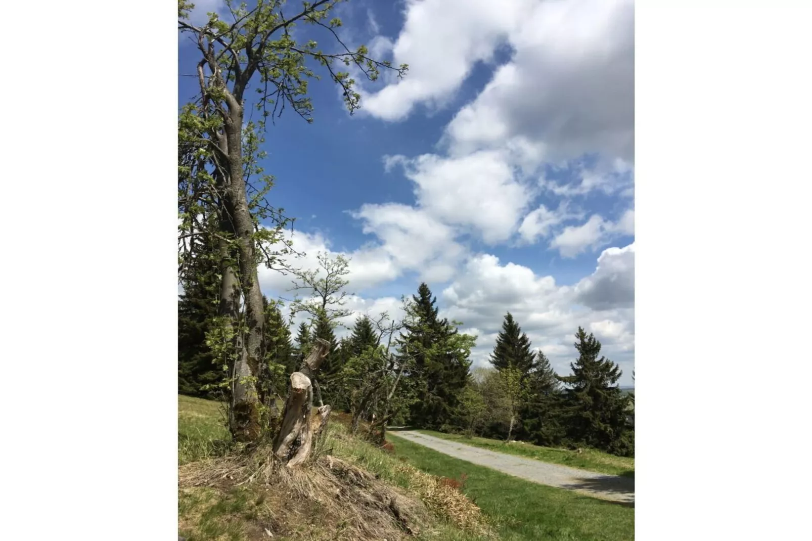 311181 - Gebiete Sommer 1 km