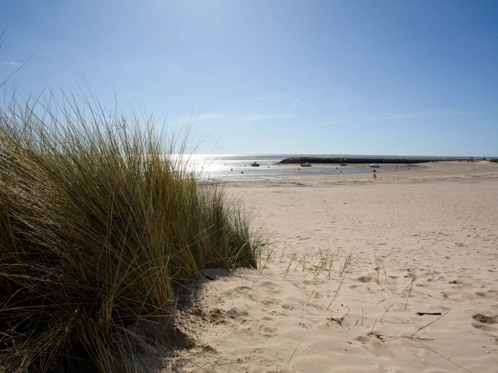 Les Tilleuls - Dehors