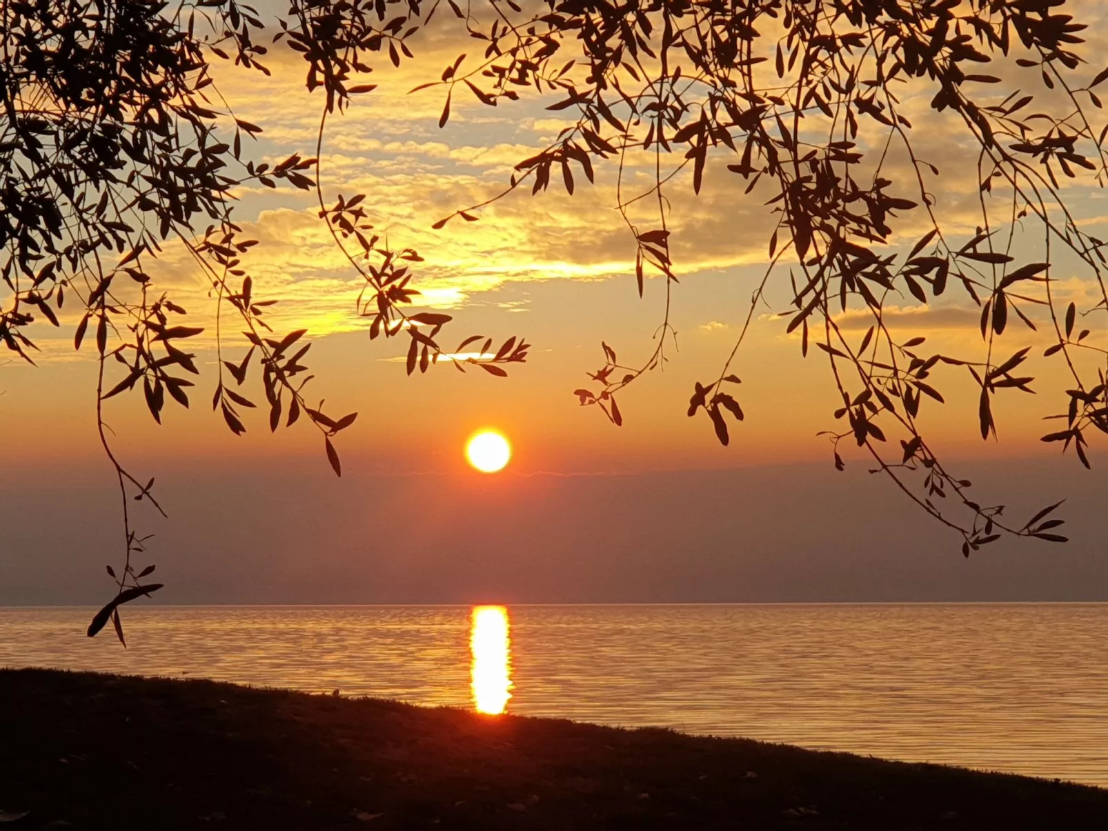 Gelbe Wohnung 65qm mit Garten und Seeblick - Image-tags.info