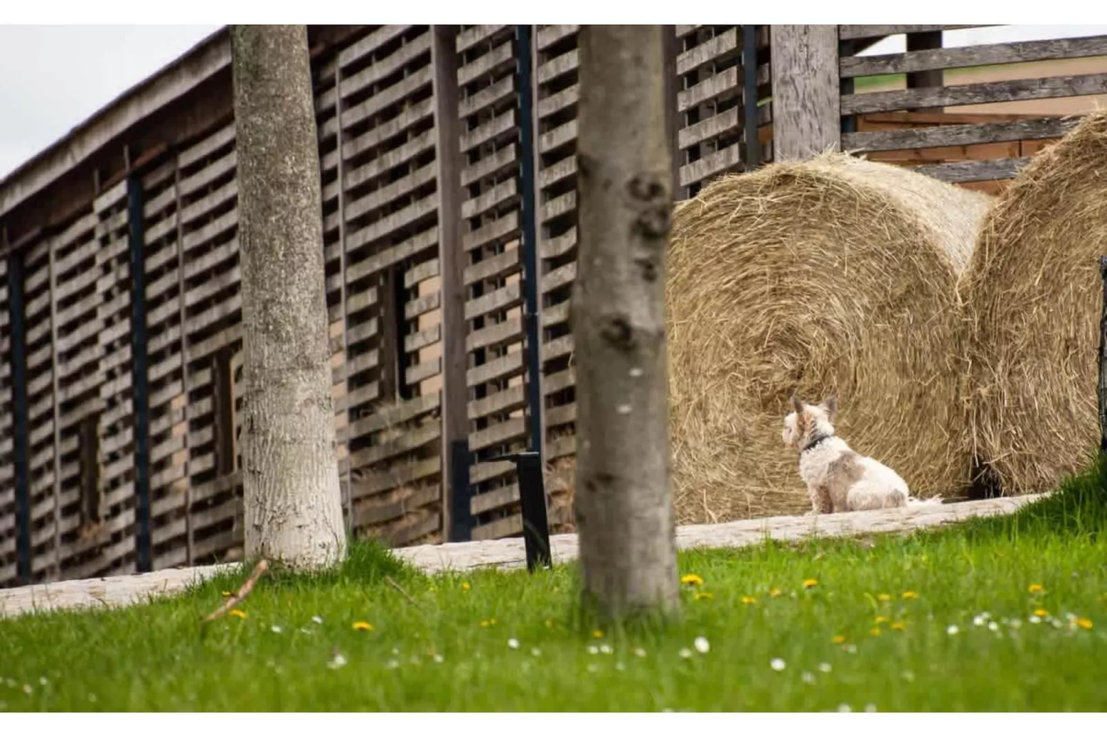 TH3 1P 40€(5) Schulz - Zones été à 1 km