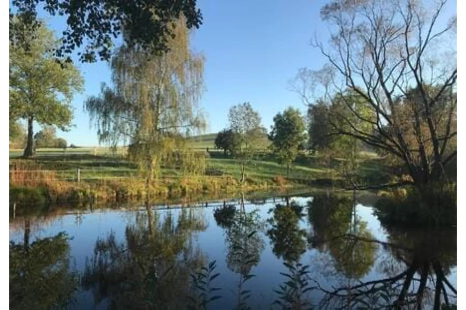 211 1P 40€(6) Schulz - Zones été à 5 km