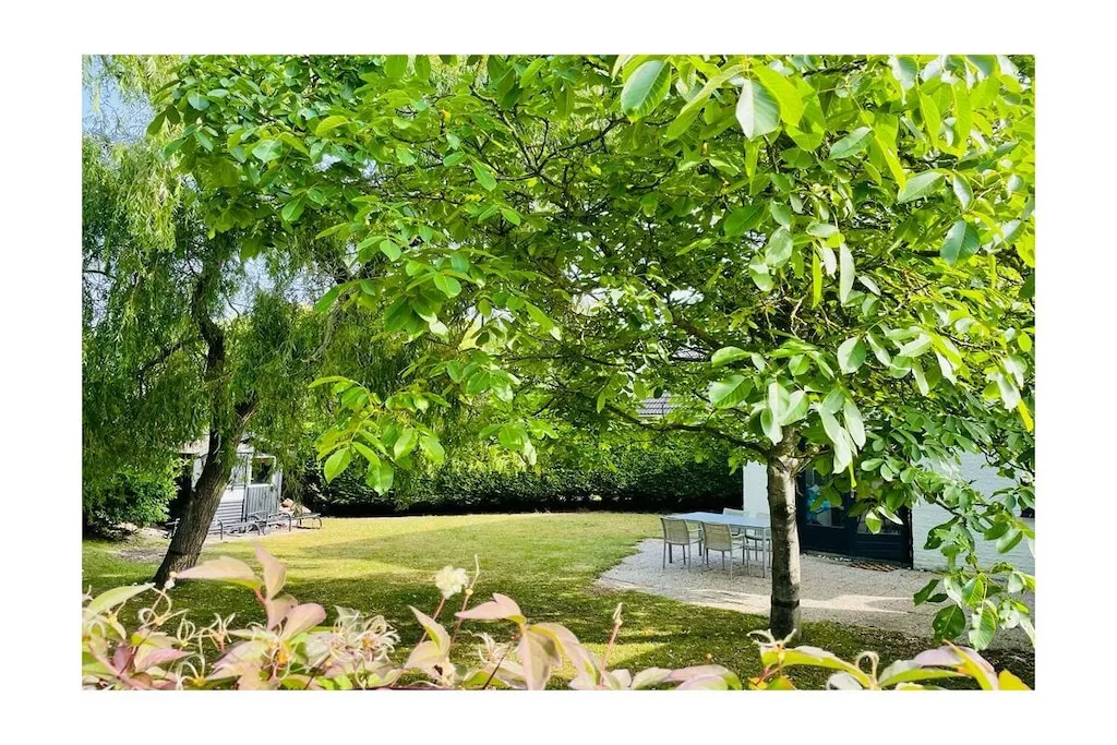 430992 - Garten Sommer